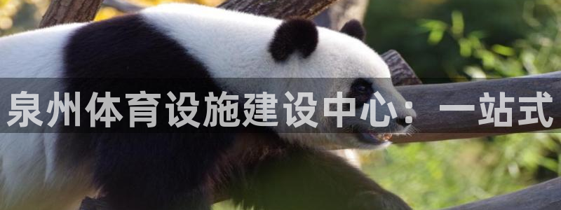 意昂体育4招商电话地址：泉州体育设施建设中心：一站式