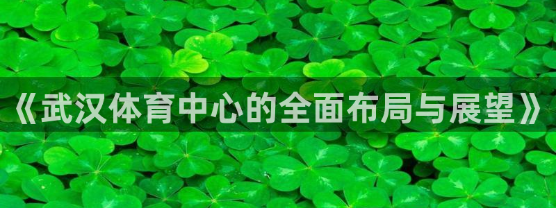 意昂体育4招商电话是多少：《武汉体育中心的全面布局与