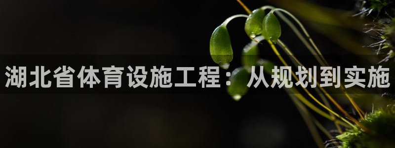 意昂体育4平台注册要钱吗安全吗：湖北省体育设施工程：