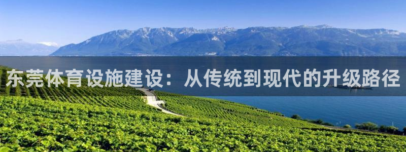 意昂体育4平台注册流程视频：东莞体育设施建设：从传统