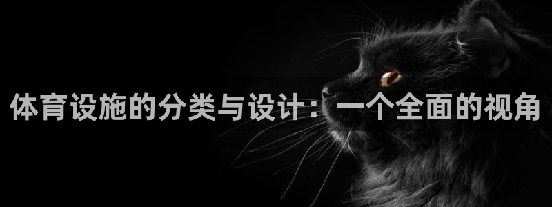 意昂体育4招商电话地址查询：体育设施的分类与设计：一个全面的