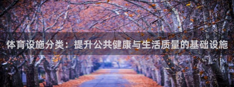 意昂集团官网：体育设施分类：提升公共健康与生活质量的基础设施