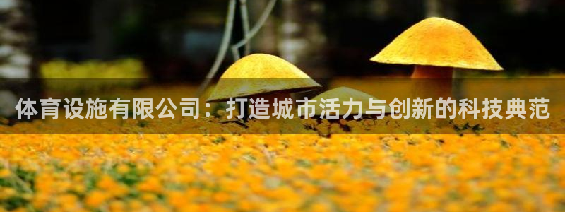 意昂体育4平台是正规平台吗知乎：体育设施有限公司：打