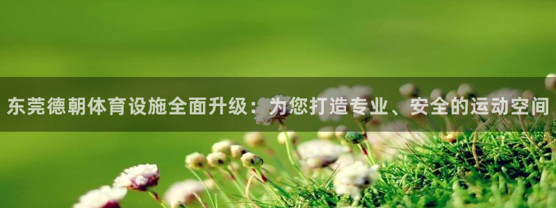 意昂体育4招商：东莞德朝体育设施全面升级：为您打造专