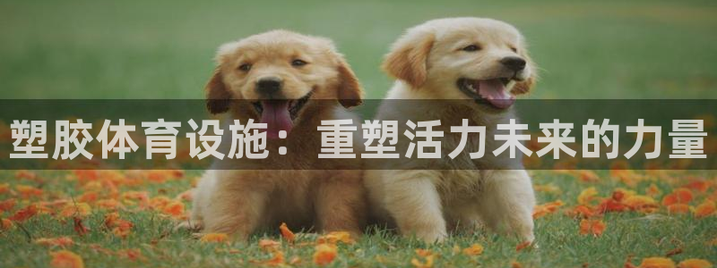 意昂4娱乐40996：塑胶体育设施：重塑活力未来的力量