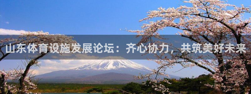 意昂4集团官网首页：山东体育设施发展论坛：齐心协力，共筑美好