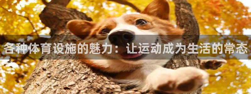 意昂4集团官网首页网址：各种体育设施的魅力：让运动成