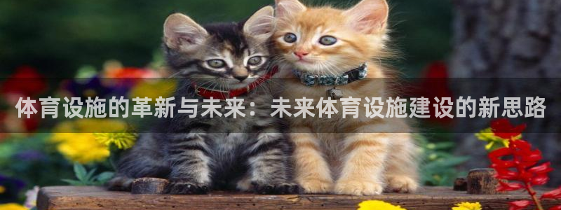 意昂4官方：体育设施的革新与未来：未来体育设施建设的新思路