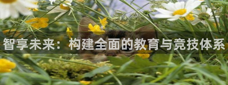 意昂体育4软件：智享未来：构建全面的教育与竞技体系