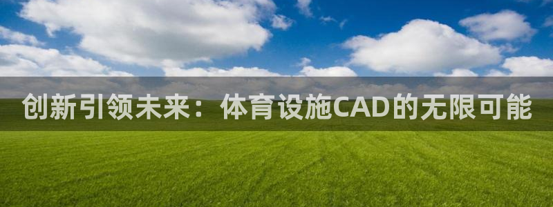 意昂体育4平台注册要钱吗安全吗：创新引领未来：体育设施CAD