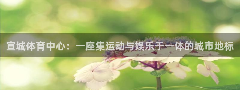 意昂4娱乐代理怎么样：宣城体育中心：一座集运动与娱乐于一体的