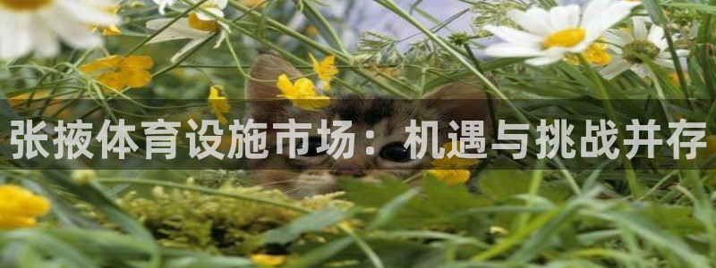 意昂体育4平台注册流程图：张掖体育设施市场：机遇与挑战并存