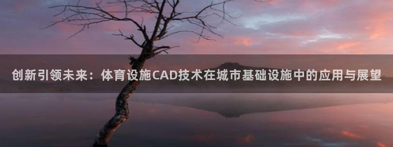 意昂体育4平台是正规平台吗：创新引领未来：体育设施CAD技术