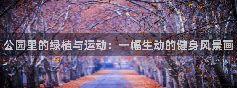 海南意昂体育4发展怎么样：公园里的绿植与运动：一幅生动的健身