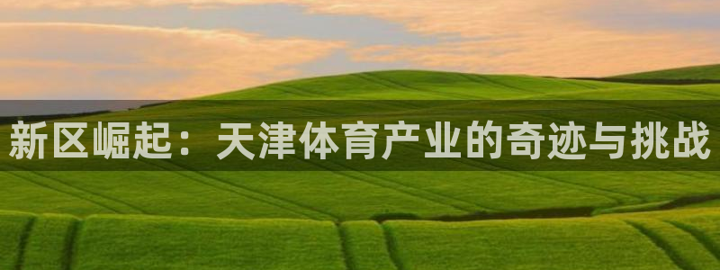 意昂4神州：新区崛起：天津体育产业的奇迹与挑战