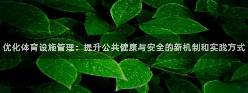意昂体育4平台是正规平台吗安全吗：优化体育设施管理：