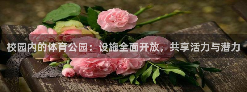 意昂体育4平台注册要钱吗安全吗：校园内的体育公园：设