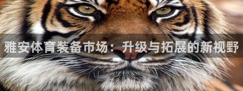 意昂4集团E.ON：雅安体育装备市场：升级与拓展的新视野