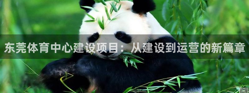 意昂体育4平台是正规平台吗