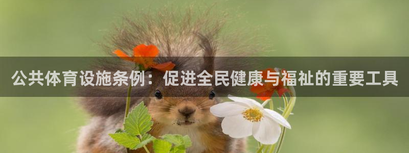 意昂4集团官网首页：公共体育设施条例：促进全民健康与