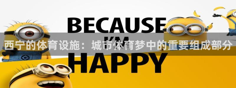 意昂4新能源：西宁的体育设施：城市体育梦中的重要组成