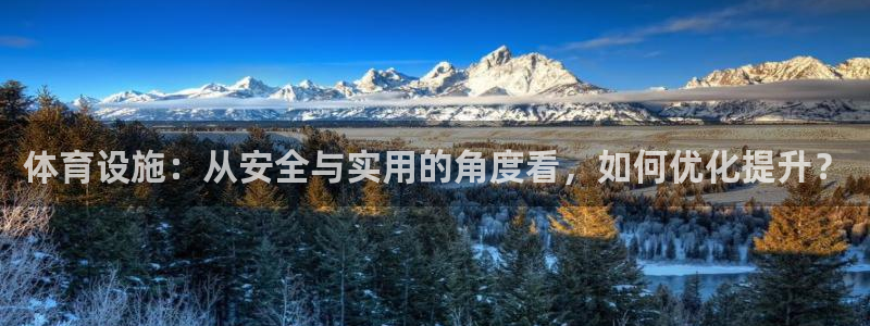 意昂4代理：体育设施：从安全与实用的角度看，如何优化