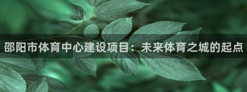 意昂4官网：邵阳市体育中心建设项目：未来体育之城的起