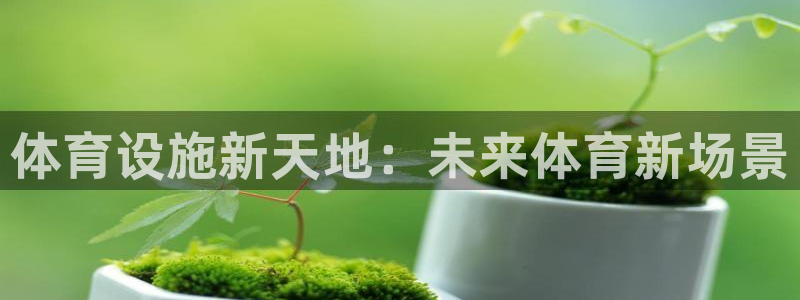 意昂体育4平台假的吗是真的吗：体育设施新天地：未来体