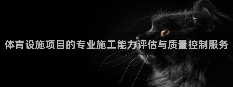 意昂4娱乐代理怎么样：体育设施项目的专业施工能力评估