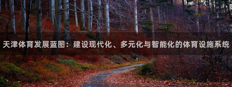 意昂体育4平台是正规平台吗安全吗：天津体育发展蓝图：