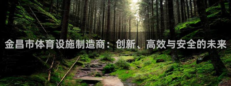 意昂体育4平台是正规平台吗安全吗：金昌市体育设施制造