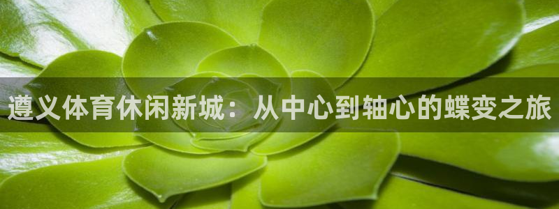 意昂4科技：遵义体育休闲新城：从中心到轴心的蝶变之旅