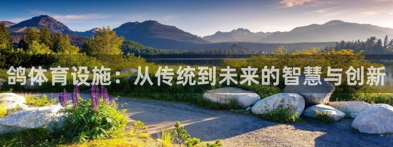 意昂体育4平台APP：鸽体育设施：从传统到未来的智慧
