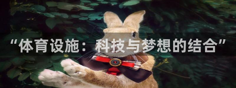 意昂4娱乐40996：“体育设施：科技与梦想的结合”
