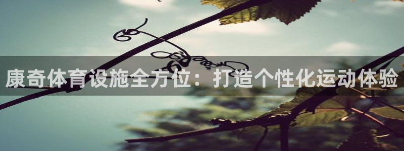 意昂体育4：康奇体育设施全方位：打造个性化运动体验