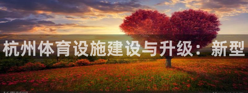 海南意昂体育4发展怎么样：杭州体育设施建设与升级：新