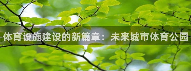 意昂4神州：体育设施建设的新篇章：未来城市体育公园