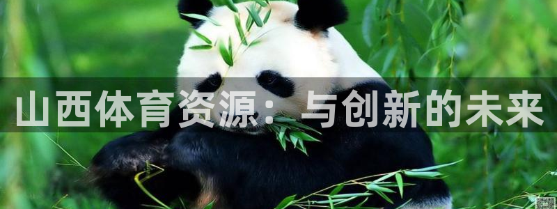 意昂4集团logo：山西体育资源：与创新的未来
