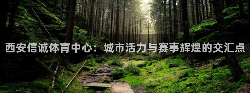 意昂4娱乐平台：西安信诚体育中心：城市活力与赛事辉煌的交汇点